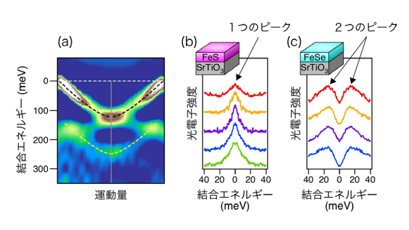 角度分解光電子分光測定の結果。(a)はFeS超薄膜の電子構造。基板から薄膜へ移動した電子の存在(黒点線)と、基板の原子振動の存在(黄色点線)が観測される。(b)と(c)は、FeSおよびFeSe超薄膜の超伝導特性の評価。FeSは超伝導が起きていない(ピークが1つ)のに対して、FeSeでは超伝導が起きている(ピークが2つ)
