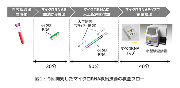 マイクロRNA検出技術の検査フロー