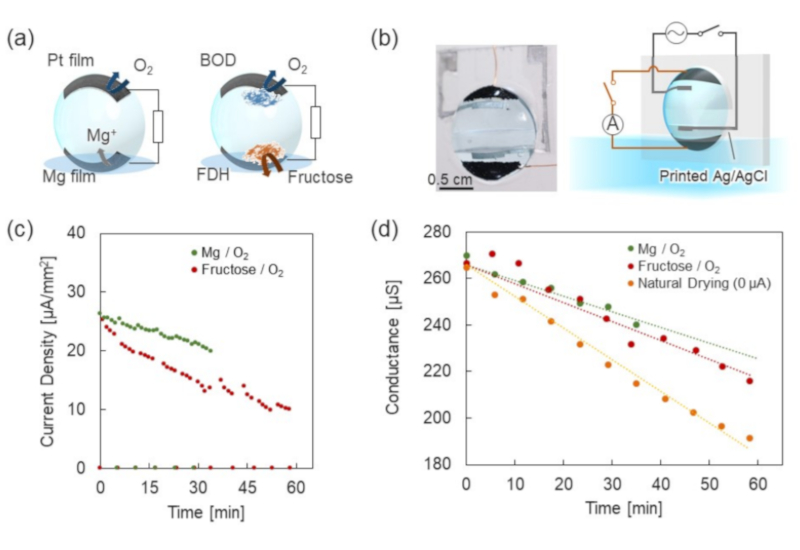 電池搭載による自己保湿機能の実証。(a)Mg/O2電池とフルクトース/O2バイオ電池、(b)発電によるEOF電流の印加とイオン伝導度(含水量)の計測、(c)電池の出力電流の経時変化、(d)イオン伝導度(水分量)の経時変化