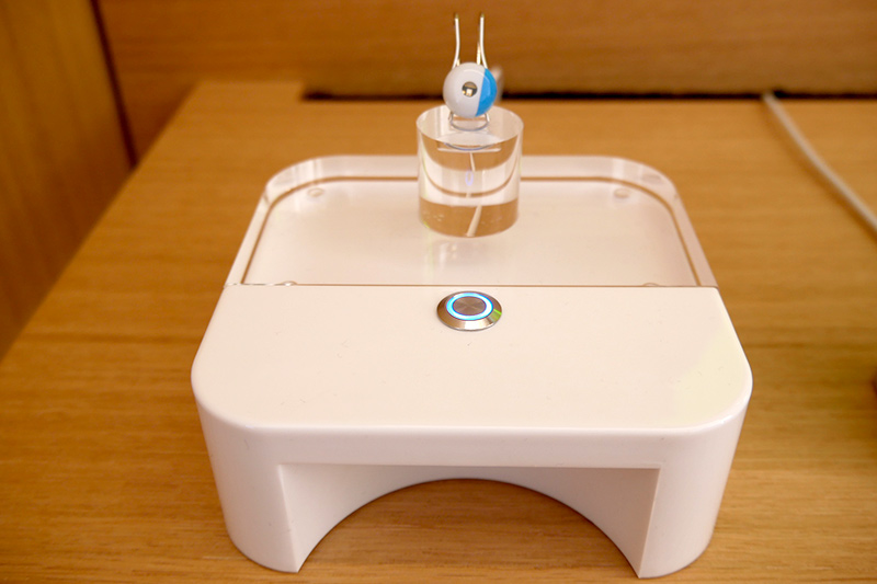 子供や家族を意識した展示にも力を注いでいる