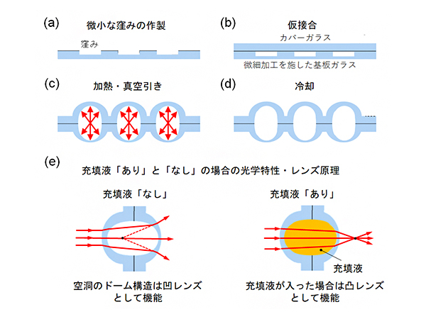 ガラス膨張法によるガラス微小ドーム構造の形成工程と機能。(a)フッ化水素酸によるエッチングで板ガラスに浅い微細空洞を形成。(b)微細空洞をカバーガラスで閉じて仮接合。(c)真空引きしながら加熱し熱膨張。(d)予測した形状に到達したタイミングで加熱をやめ、真空引きしながら徐冷。(e)できあがったレンズと、充填液の有無による光学特性およびレンズ原理