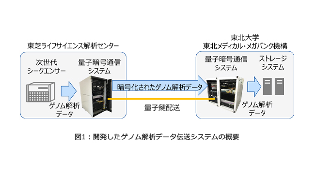 研究グループが開発したゲノム解析データ伝送システムの概要