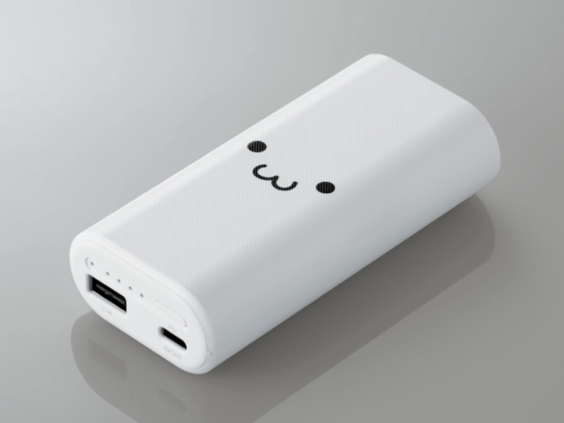 DE-C18L-10000WF(しろちゃん)