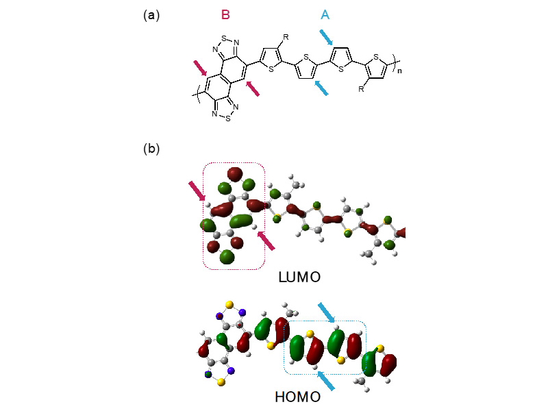 図1 (a)PNTz4Tの化学構造とフッ素導入位置、(b)量子化学計算の解析によるPNTz4Tの分子軌道の分布