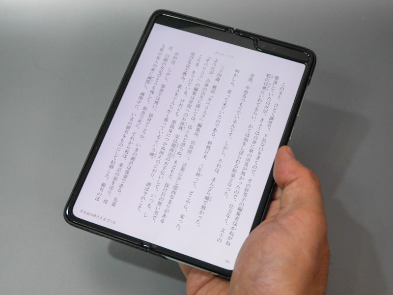 テキストを表示したところ。単行本サイズゆえ、文庫本と比べると余裕がある