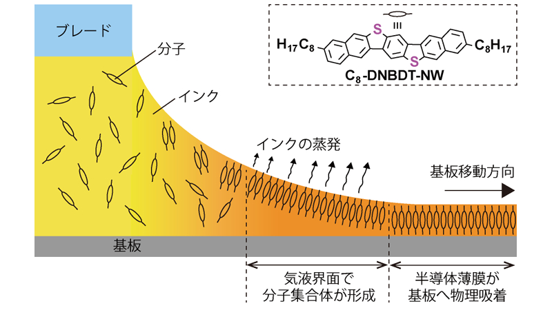 印刷プロセスを用いた有機半導体単結晶薄膜の製造手法