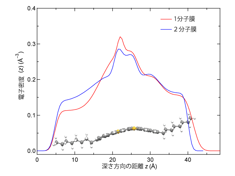 X線反射測定から得られた深さ方向の電子密度プロファイル。本来分子の重心位置を中心に対称なはずの電子密度が、1分子膜では非対称になっている