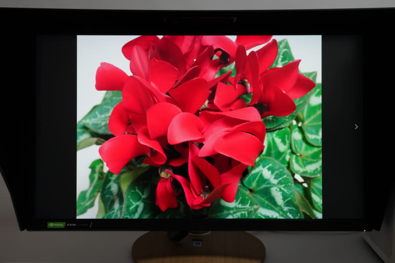 Adobe RGB形式で撮影した写真を表示すると、艶めかしく感じるほど鮮烈な赤色が表示される