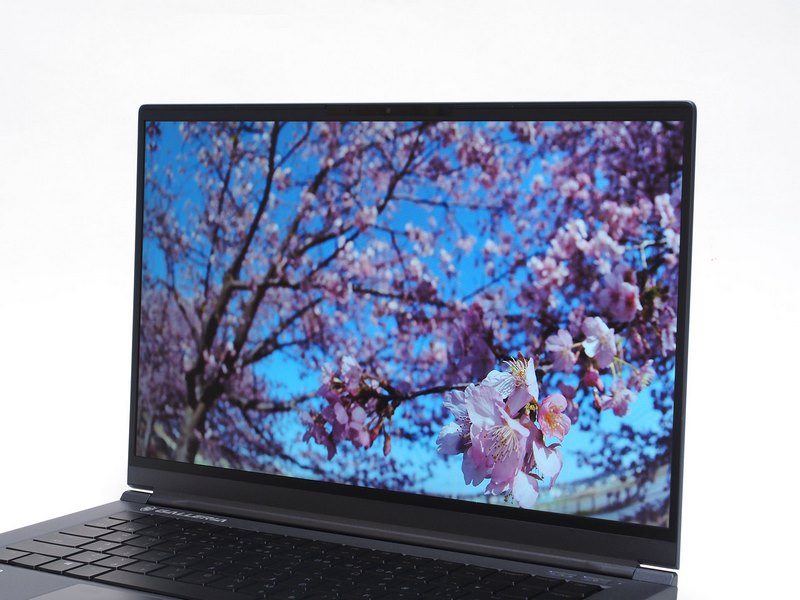 非光沢パネルを採用しており入力作業において周囲の反射に集中力を削がれない。発色もよく斜めの角度からでも色味の変化は小さい