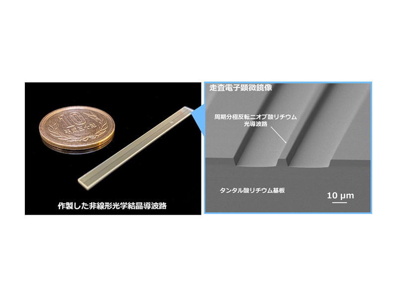 作製した非線形光学結晶による光導波路の写真