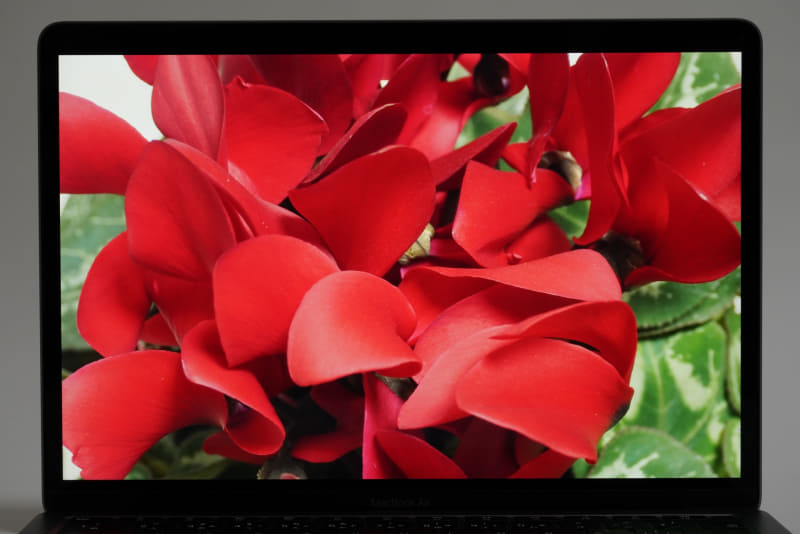 周囲の色温度に応じて色味を調整する「True Toneテクノロジー」に対応