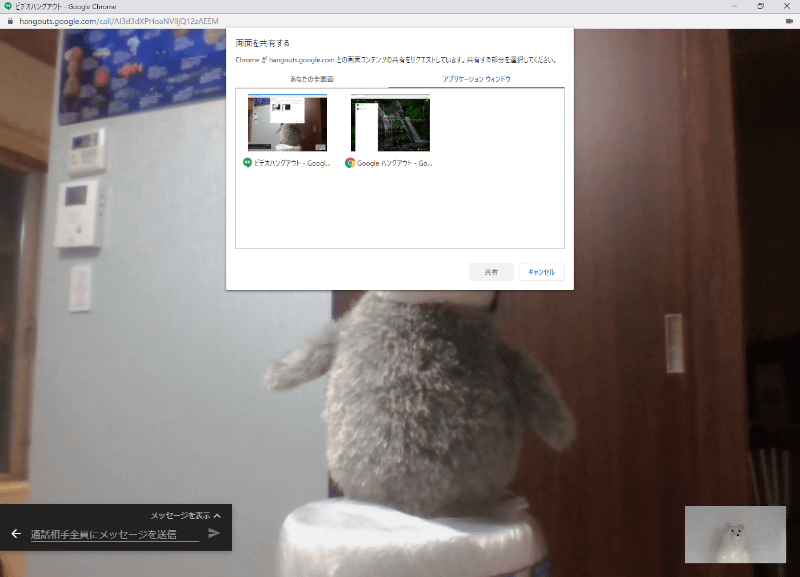 デスクトップ全体のほか、特定のアプリケーションウィンドウだけを共有することも可能で、デスクトップ上のファイルなどを見られる心配がない
