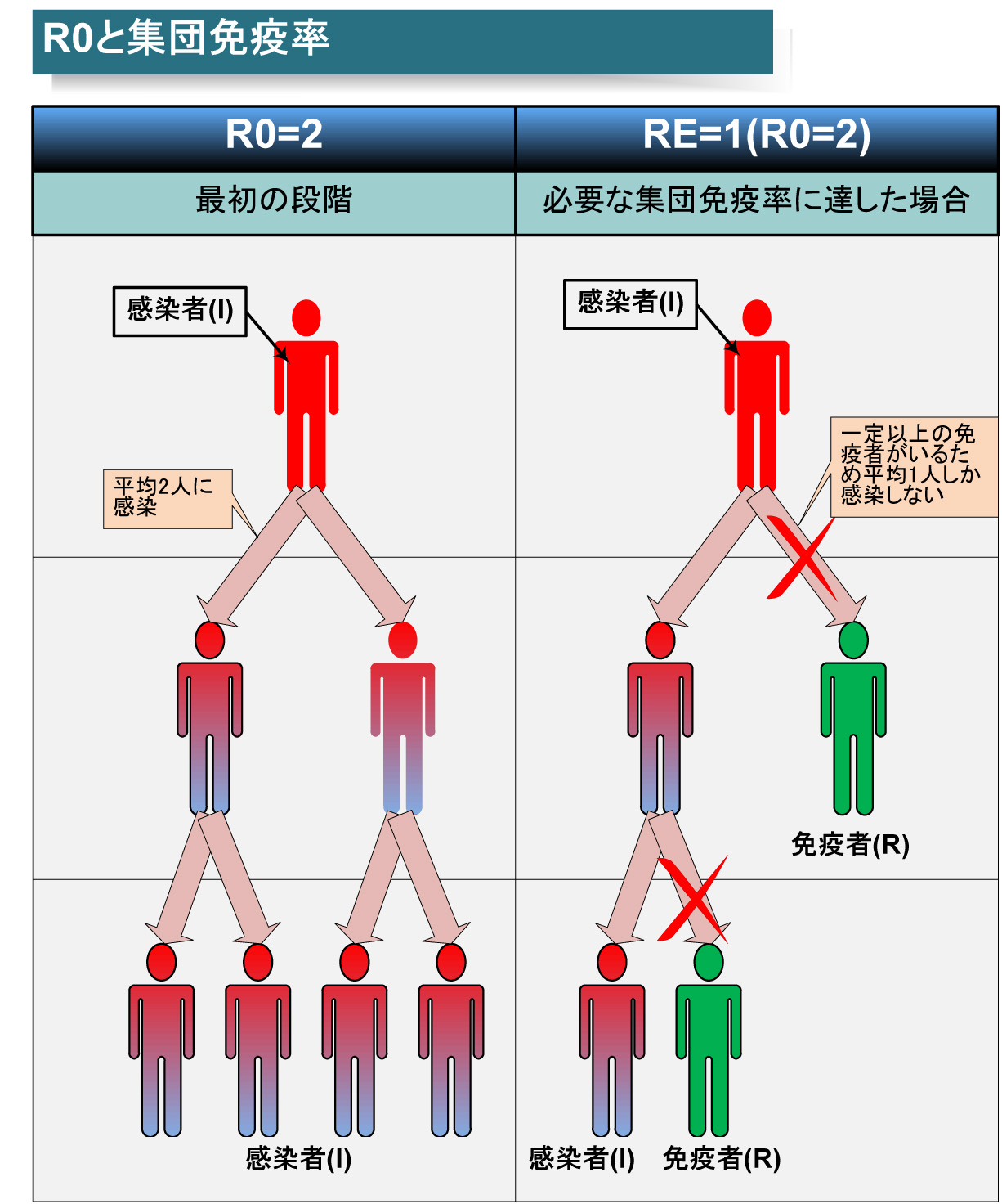 R0と免疫率の例。たとえば、R0=2の場合は、1人の感染者が平均で2人に感染させる。そのため、集団で50%が免疫を持てば、平均で1人にしか感染させることができなくなり、流行が止まりはじめる<BR>PDF版は<span class="img-inline raw"><a href="../p5.pdf" ipw_status="1" ipw_linktype="filelink_raw" class="resource">こちら</a></span>