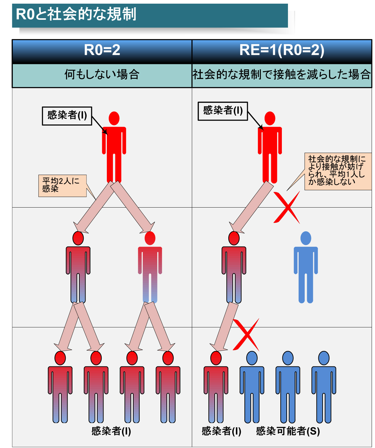 社会的距離政策などで人と人の接触が規制された場合も実効再生産数(Effective Reproduction Number)は下がる<BR>PDF版は<span class="img-inline raw"><a href="../p6.pdf" ipw_status="1" ipw_linktype="filelink_raw" class="resource">こちら</a></span>