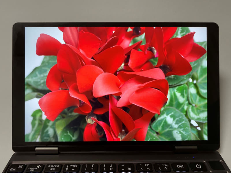 実測した白色輝度は約242cd/平方m。光沢(グレア)の表面処理のおかげで、まずまず鮮やかな画像を楽しめる