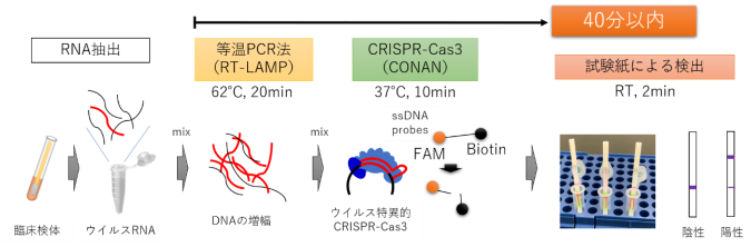 新しい検出手法