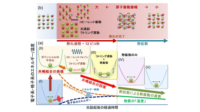非熱的/熱的の区分により考案された、光励起後の物質内での超高速時間変化の模式図