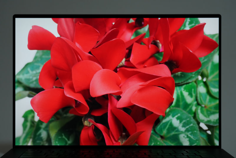 Adobe RGBカバー率100%が謳われている15.6型4K+ WVA液晶ディスプレイはRAWデータの現像用途にもってこいだ