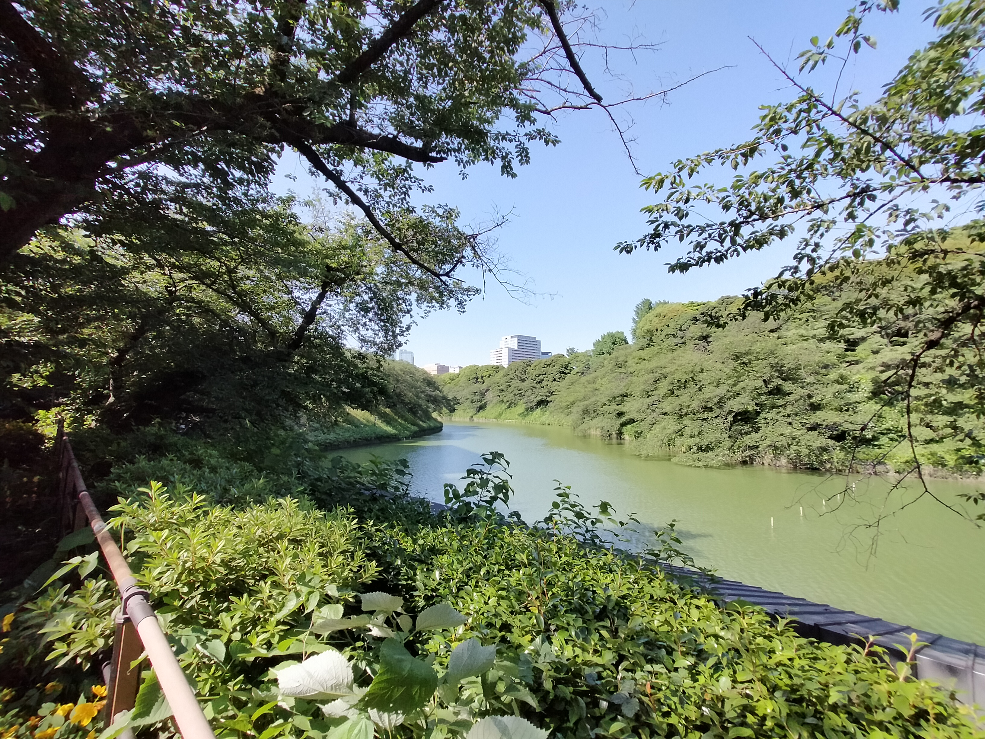 超広角カメラで撮影