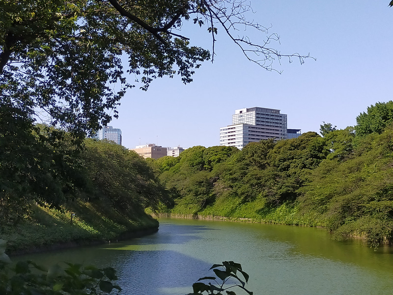 2倍望遠ズームで撮影