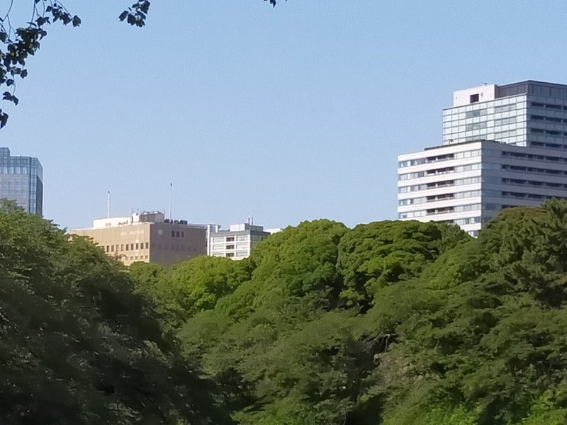 5倍望遠ズームで撮影