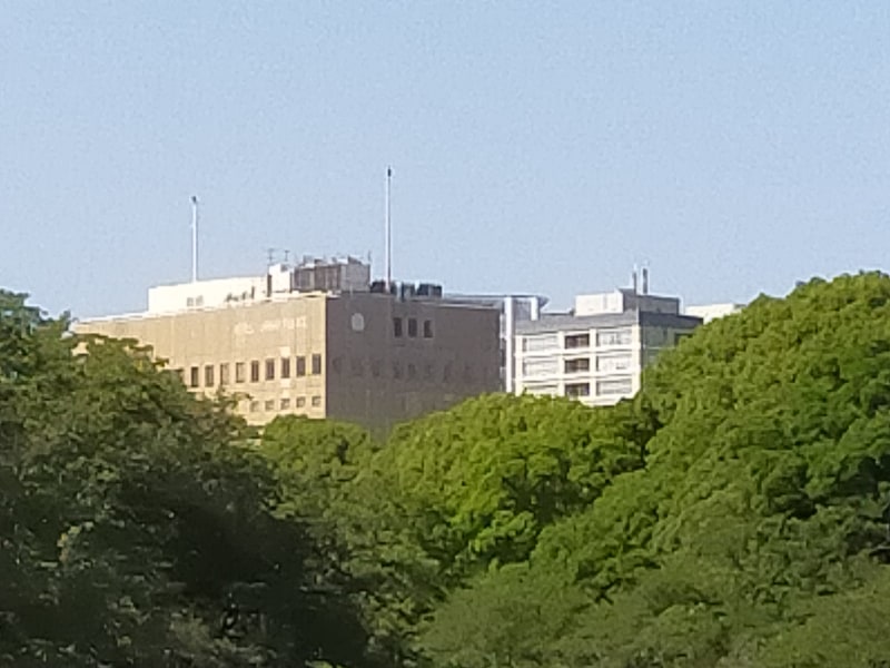 10倍望遠ズームで撮影