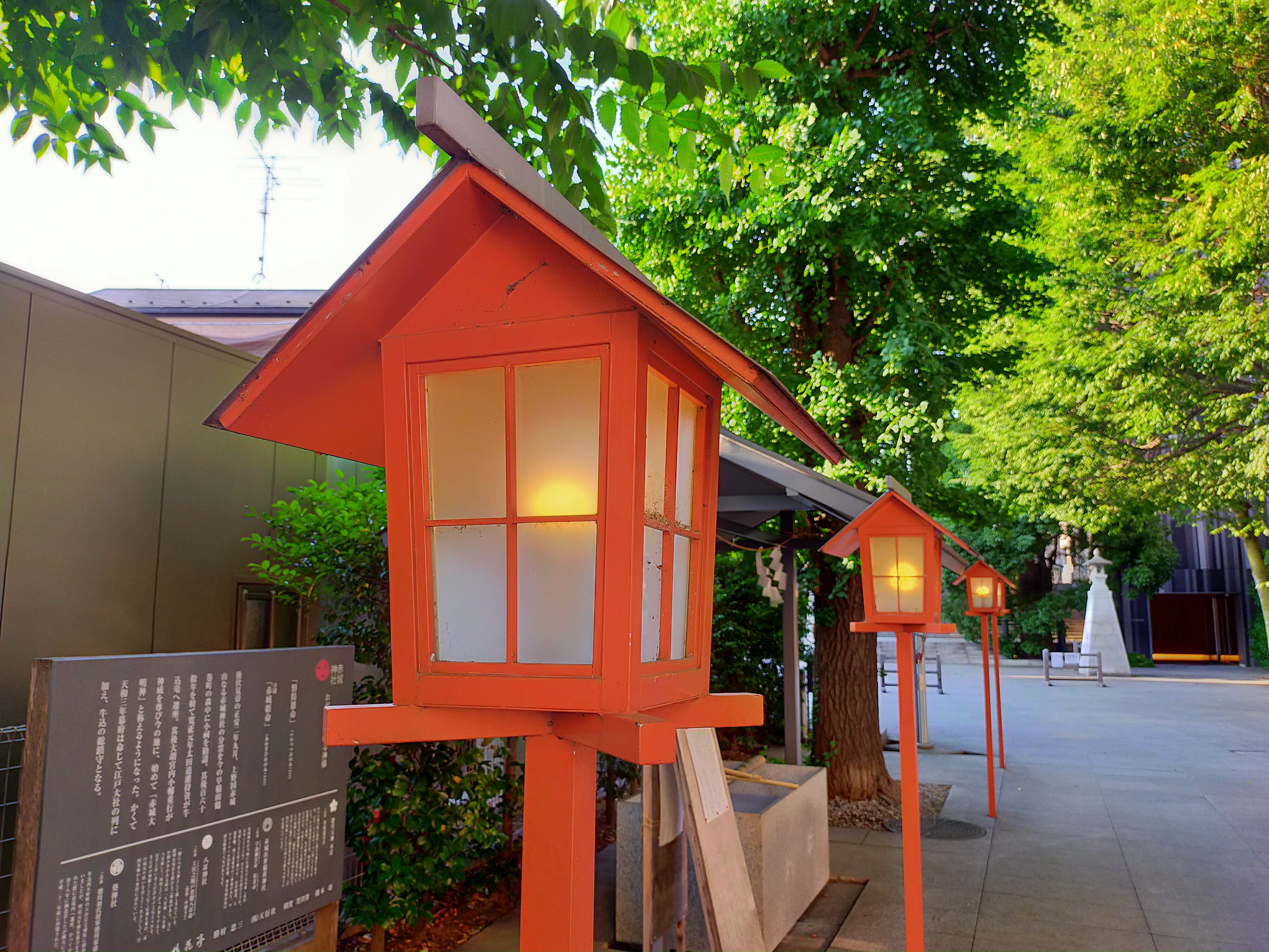 広角カメラで撮影