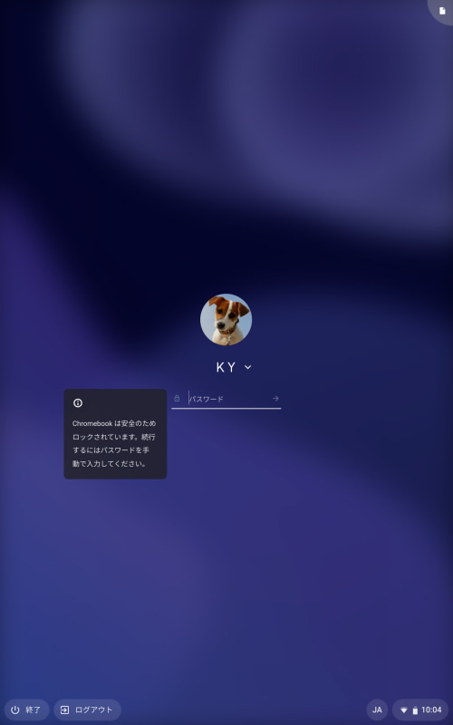 ログインにはパスワードまたは6桁のPINコード入力が必要