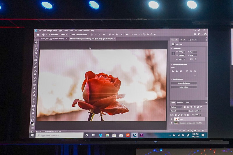 こうした複雑な物体(バラ)も一発で選択可能