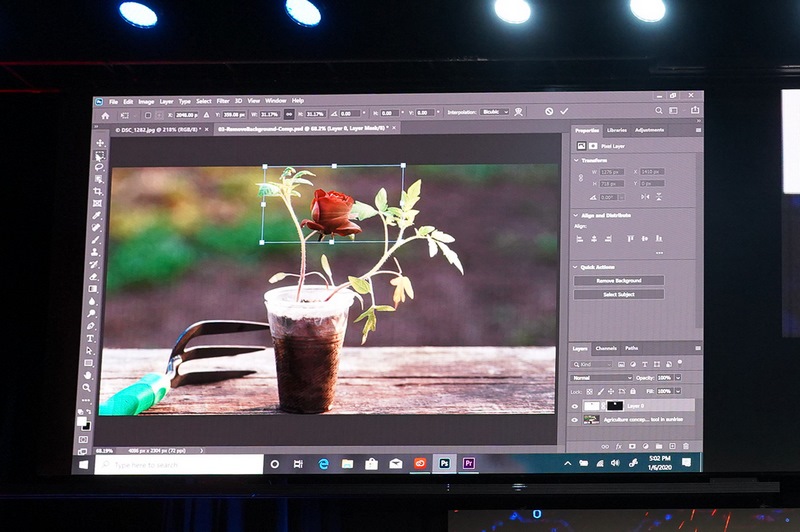 切り抜いたバラを他の画像に合成したところ