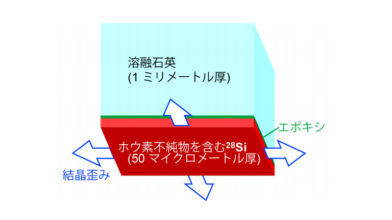 薄いSi28結晶を溶融石英板に貼りあわせた試料の概略