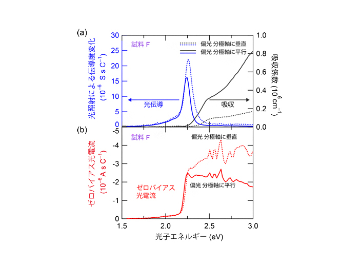 光伝導度とシフト電流に対する表面散乱の影響の違い