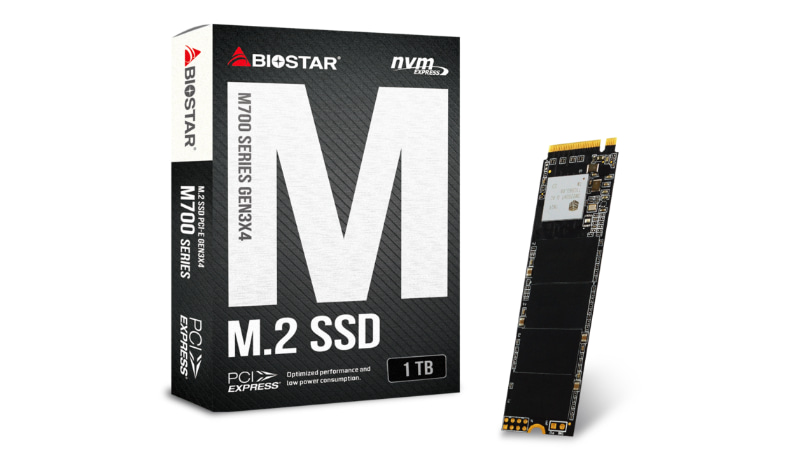 BIOSTAR M700-1TB