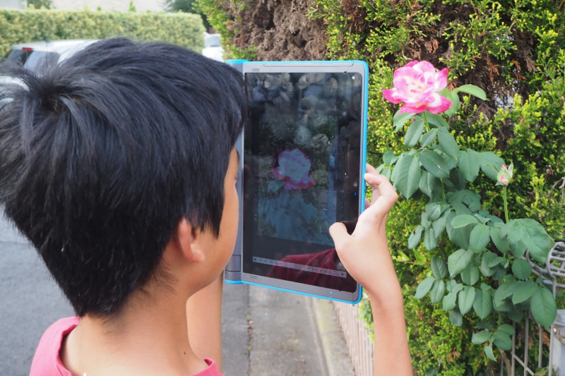 背面カメラを使って、バラの花を撮影している息子