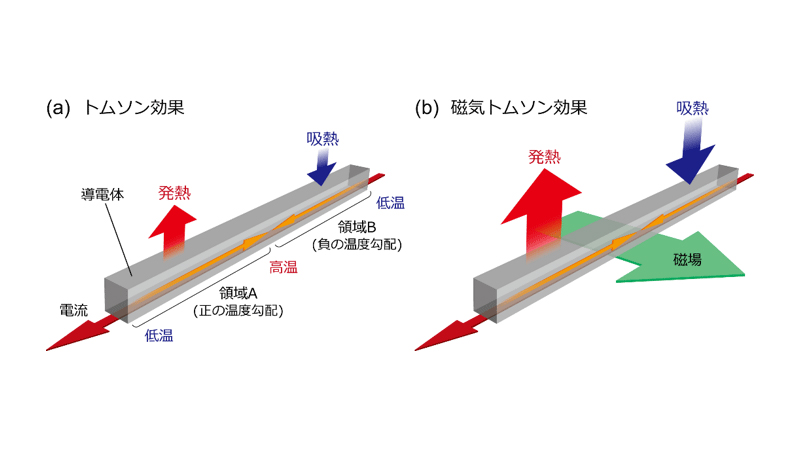 トムソン効果および磁気トムソン効果の概念図