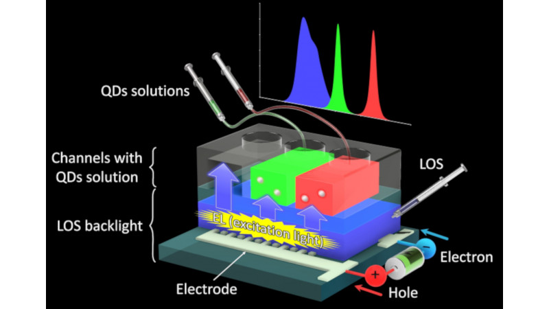 液体有機半導体と量子ドット水溶液を組み合わせた発光デバイスの構造図