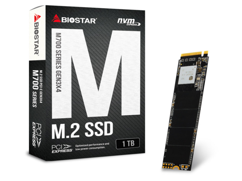 BIOSTAR M700-1TB