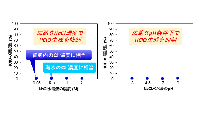 Mnで修飾した光電極によるNaCl水溶液からの酸素とHClO生成反応への反応溶液条件の影響