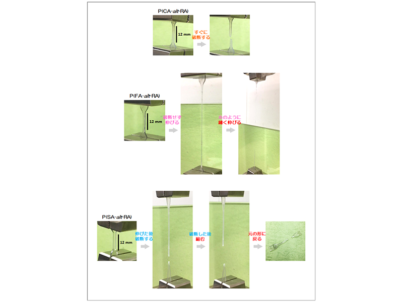 図1 開発したポリマーの引張試験の様子
