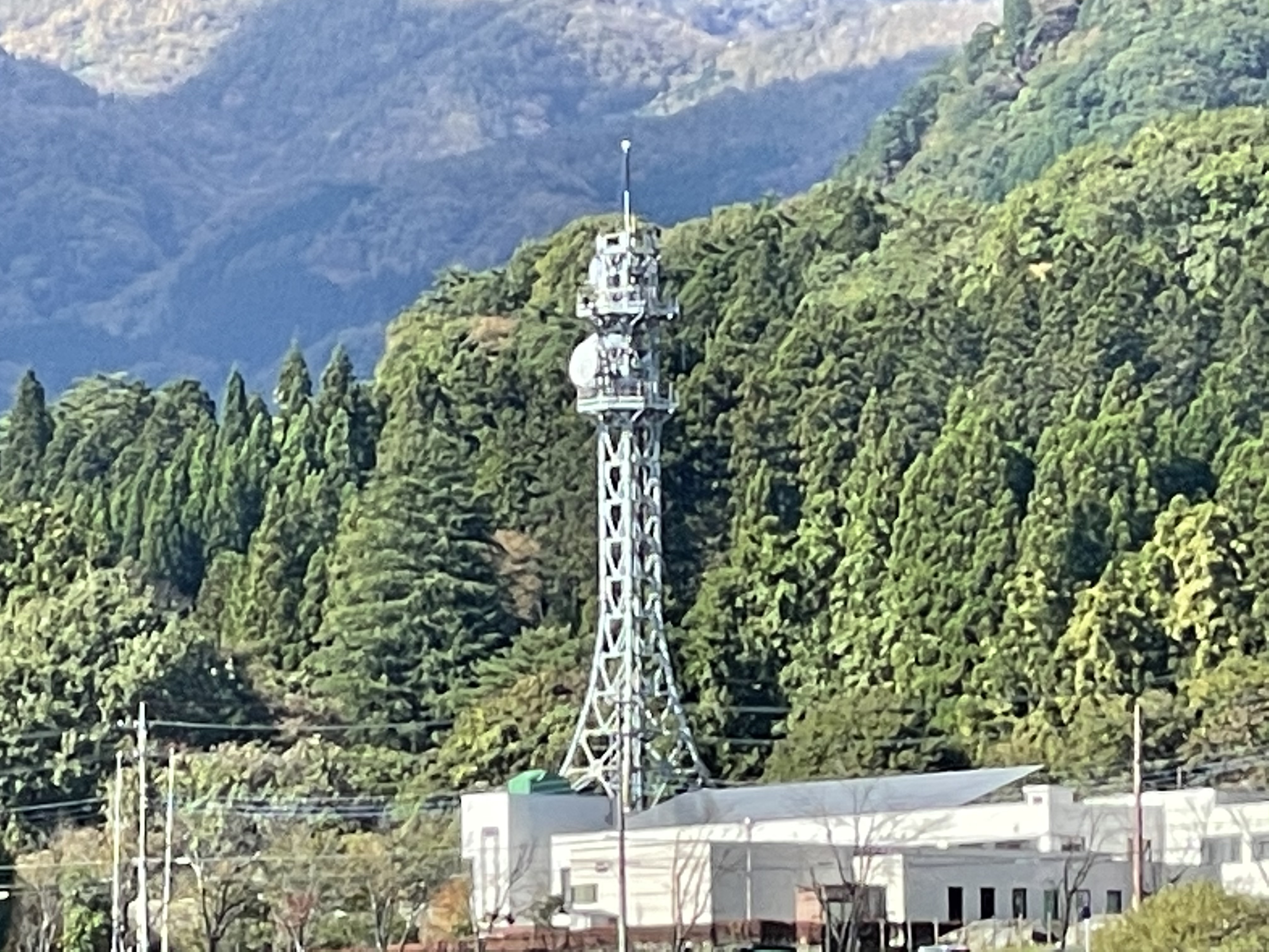 望遠(10倍デジタルズーム)で撮影