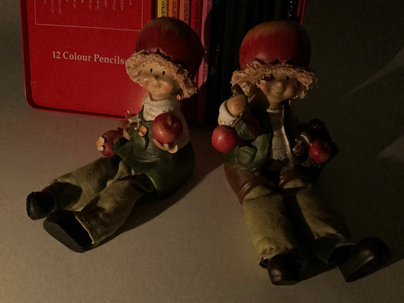 iPad Air(第4世代)の広角カメラで撮影