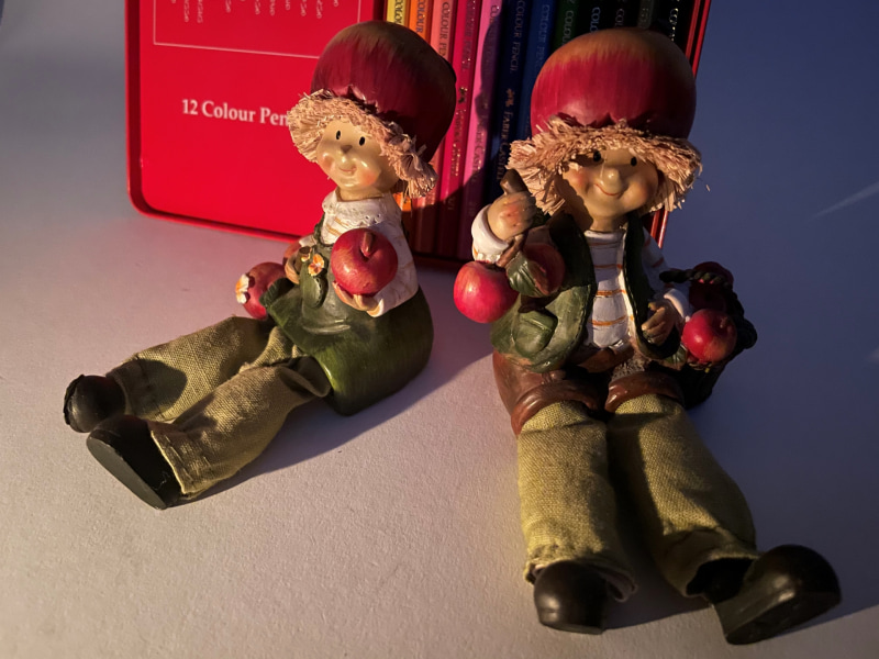 iPhone 12 Proの広角カメラで撮影(ナイトモード)