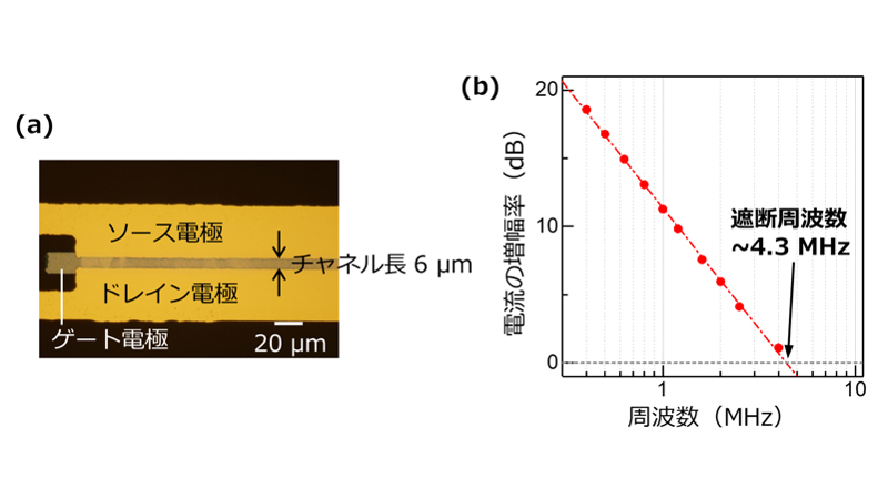(a)印刷法とフォトリソグラフィにより作製された短チャネル有機トランジスタの顕微鏡像、(b)駆動電圧20Vでの入力電流に対する出力電流の増幅率の周波数依存性