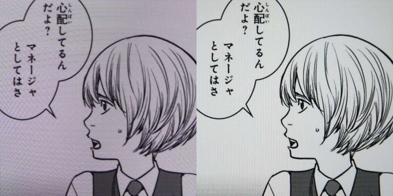 解像度の比較。左が本製品、右が12.9インチiPad Pro。やや粗く感じる