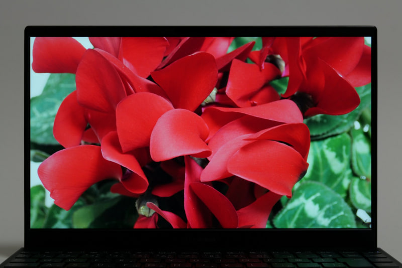 モバイルノートパソコンとしては平均以上の色域を備えている