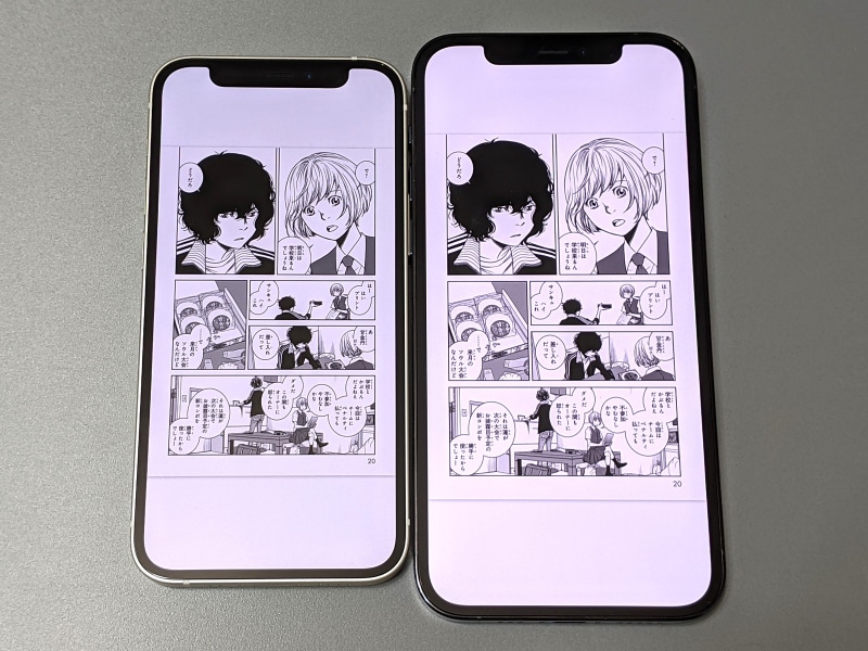 iPhone 12 Pro(右)との比較。表示サイズは本製品がひとまわり小さくなる。ちなみに前述の表示エリアの横幅は、iPhone 12 Proは約64mm
