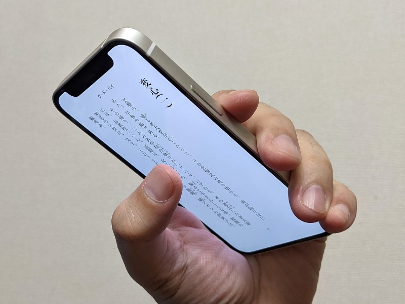 このように普通に握れば問題ないのだが、さきほどの持ち方に比べて握力を必要とするので、長時間の読書にはあまり向かない