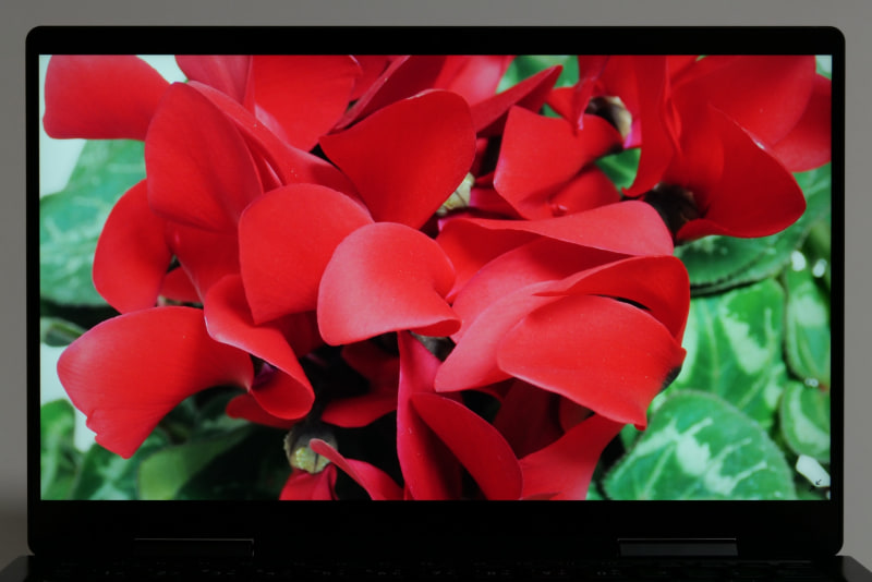 色味はニュートラル。とくに癖はない