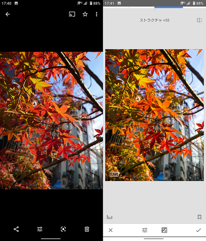 Xperia 1 IIのPhotography ProでRAW撮影し、SnapSpeedで現像したところ