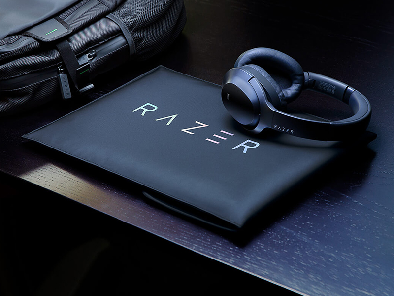 Razer Protective Sleeve V2